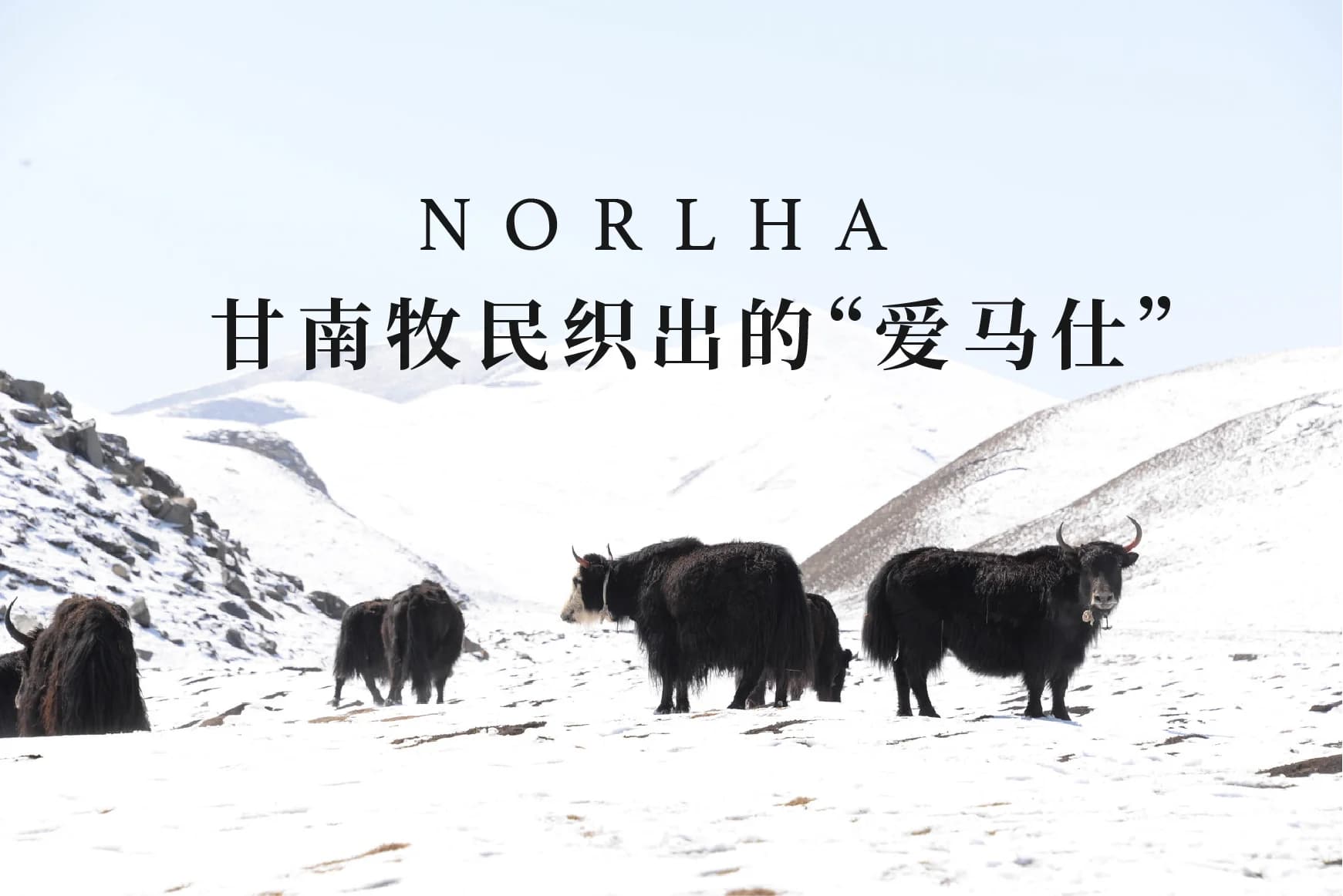 诺乐｜甘南牧民织出的“爱马仕” - 首图