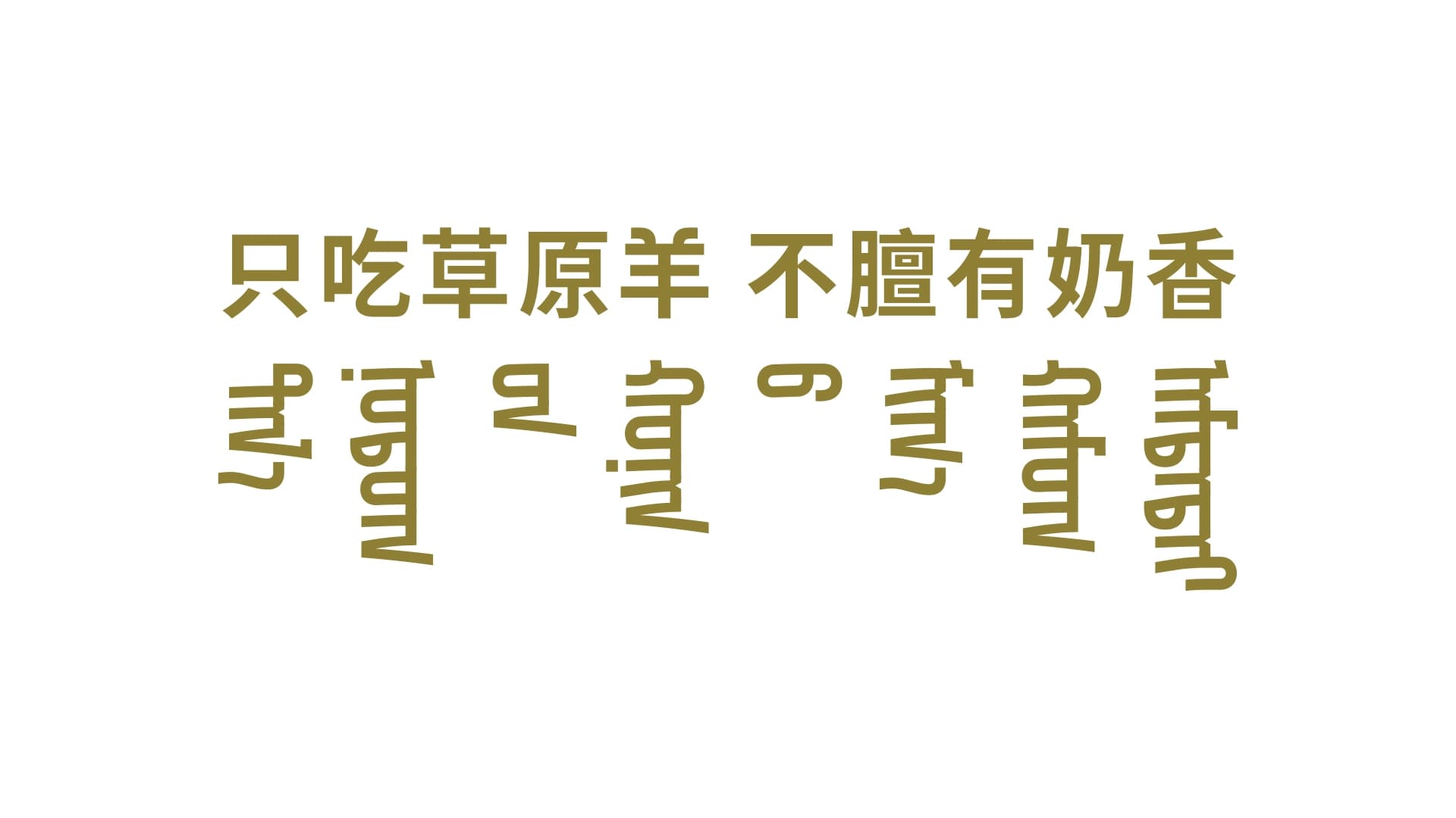 胡嘎·草原羊涮肉 - 效果图 8